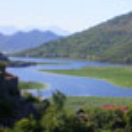 Auber'Zinc