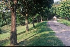 Parc départemental Jean-Moulin